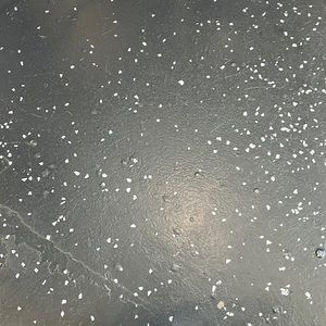 Meet your Posher, Janet